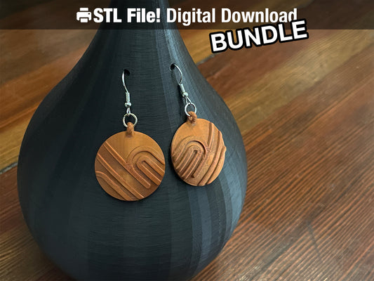 Loops and Lines Disc Earrings